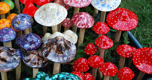Mushrooms Are Magic!
