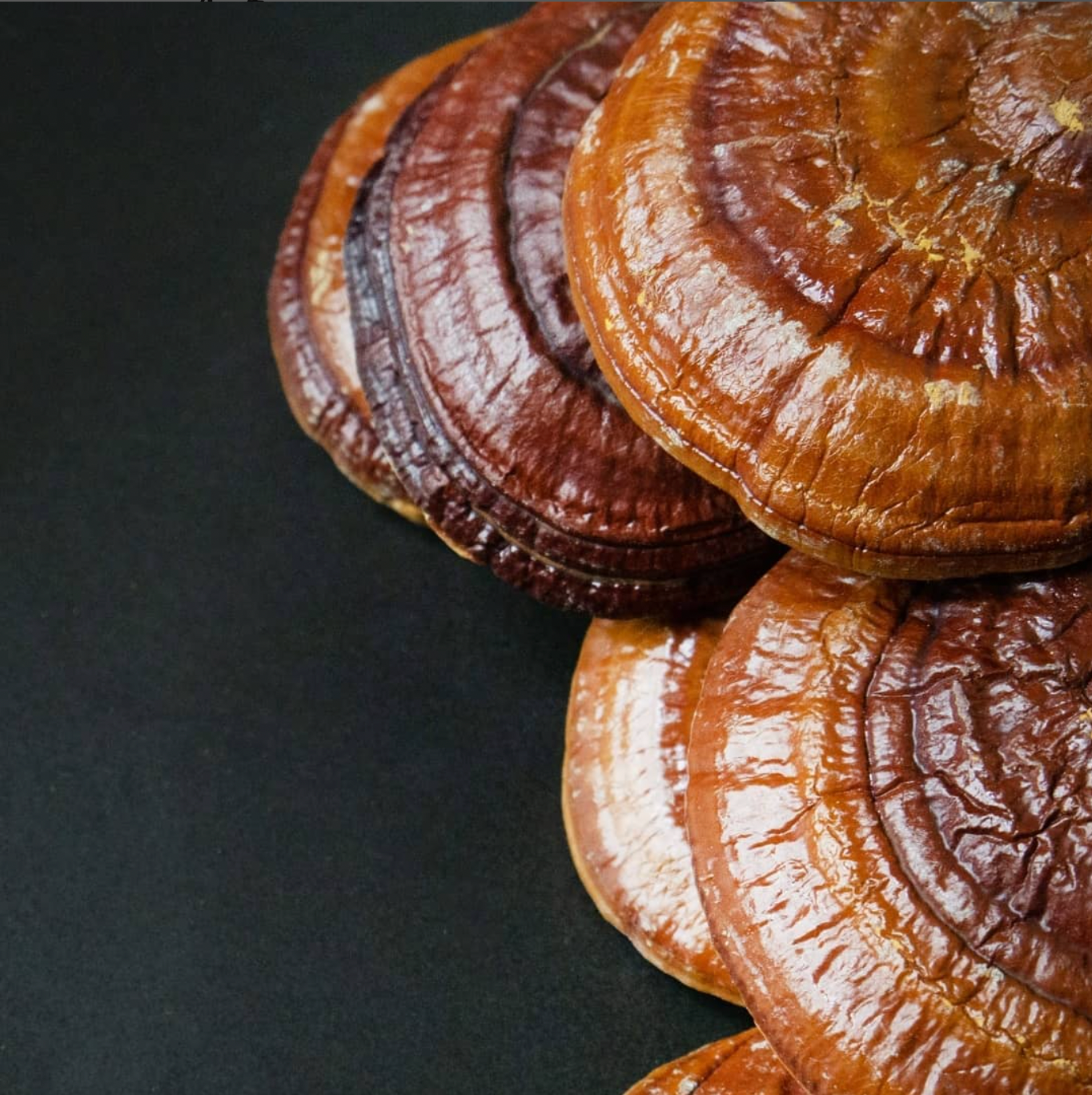Adaptogen Blend Mushrooms